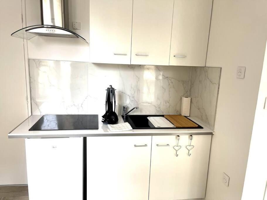 La Residence Des Celestins - Appartement Duplex N17 - Centre Vichy Esterno foto